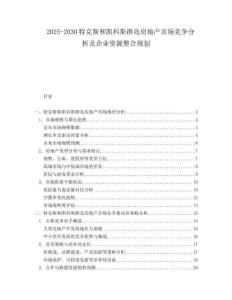 2025-2030特克斯和凱科斯群島房地產(chǎn)市場競爭分析及企業(yè)資源整合規(guī)劃