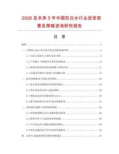 2026及未來5年中國防白水行業投資前景及策略咨詢研究報告