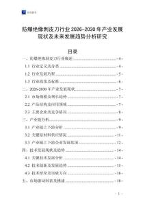 防爆絕緣剝皮刀行業2026-2030年產業發展現狀及未來發展趨勢分析研究