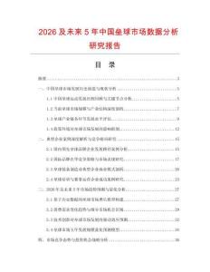 2026及未來5年中國壘球市場數(shù)據(jù)分析研究報(bào)告