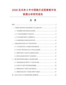 2026及未來5年中國散打成型拳套市場數據分析研究報告
