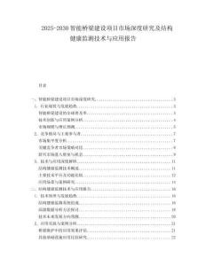 2025-2030智能橋梁建設(shè)項目市場深度研究及結(jié)構(gòu)健康監(jiān)測技術(shù)與應(yīng)用報告