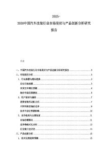 2025-2030中國汽車改裝行業市場現狀與產品創新分析研究報告
