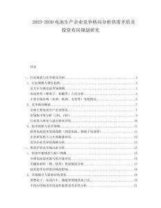2025-2030電池生產(chǎn)企業(yè)競(jìng)爭(zhēng)格局分析供需矛盾及投資布局規(guī)劃研究