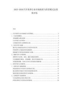 2025-2030汽車保養行業市場現狀與經營模式總投資評估