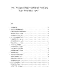 2025-2030通信線路建設中的光纖網絡項目策劃運營及市場風險評估研究報告