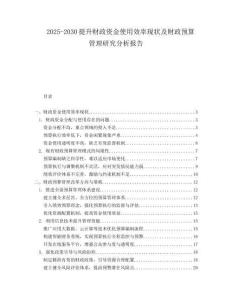 2025-2030提升財政資金使用效率現狀及財政預算管理研究分析報告