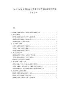 2025-2030歐洲杯足球賽期間球衣贊助商寒假消費(fèi)群體分析