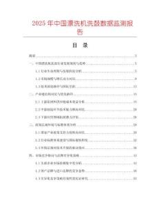 2025年中國漂洗機洗鼓數據監測報告