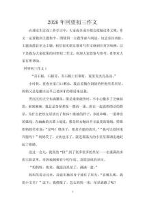 2026年回望初三作文