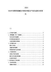 2025-2030中國聚苯硫醚技術(shù)壁壘突破及產(chǎn)業(yè)化進程分析報告