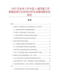 2025及未來5年中國3-溴丙基三甲氧基硅烷行業投資分析及發展戰略咨詢報告