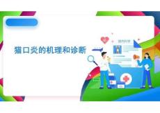 《猫病防治技术》课件——第32讲 猫口炎的机理和诊断
