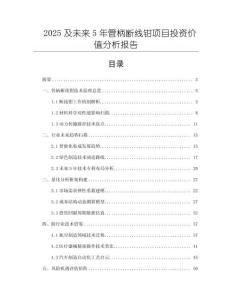 2025及未來5年管柄斷線鉗項(xiàng)目投資價(jià)值分析報(bào)告