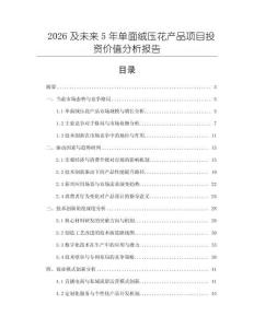 2026及未來5年單面絨壓花產(chǎn)品項目投資價值分析報告