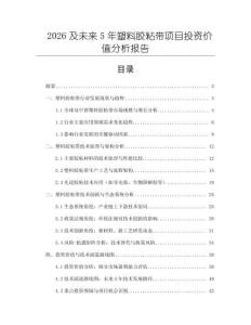 2026及未來5年塑料膠粘帶項目投資價值分析報告