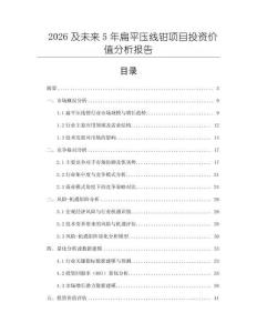 2026及未來5年扁平壓線鉗項(xiàng)目投資價(jià)值分析報(bào)告