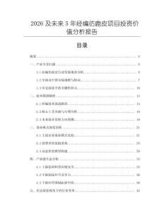 2026及未來5年經(jīng)編彷鹿皮項目投資價值分析報告