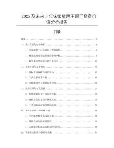 2026及未來(lái)5年宋家豬蹄王項(xiàng)目投資價(jià)值分析報(bào)告
