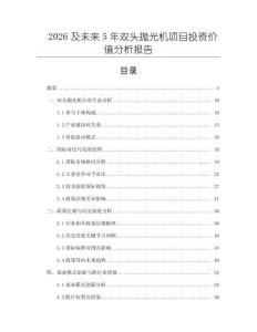 2026及未来5年双头抛光机项目投资价值分析报告