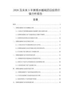 2026及未來5年黃銅水暖閥項目投資價值分析報告