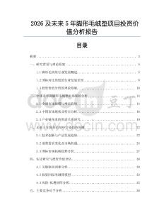 2026及未來(lái)5年腳形毛絨墊項(xiàng)目投資價(jià)值分析報(bào)告