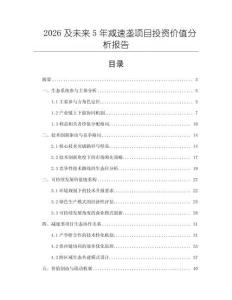 2026及未來5年減速壟項目投資價值分析報告