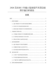 2026及未來5年超小型波段開關(guān)項(xiàng)目投資價(jià)值分析報(bào)告