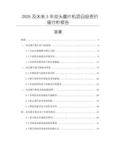 2026及未来5年双头磨片机项目投资价值分析报告