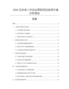 2026及未來5年加長焊炬項目投資價值分析報告