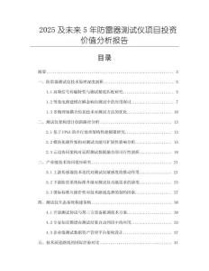 2025及未來5年防雷器測試儀項目投資價值分析報告
