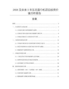 2026及未來5年壓花面巾機項目投資價值分析報告