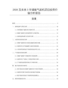 2026及未來5年儲能氣扳機項目投資價值分析報告