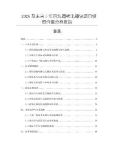 2026及未來(lái)5年四坑圓柄電錘鉆項(xiàng)目投資價(jià)值分析報(bào)告