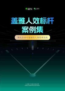 2025年人效標(biāo)桿案例集-