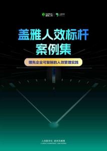 2025年人效標(biāo)桿案例集-