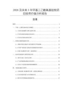 2026及未來5年甲基三乙酰氧基硅烷項目投資價值分析報告