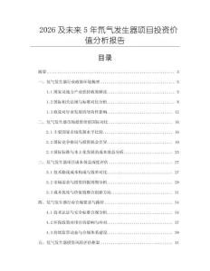 2026及未来5年氘气发生器项目投资价值分析报告