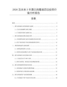 2026及未來5年漂白消毒液項(xiàng)目投資價(jià)值分析報(bào)告