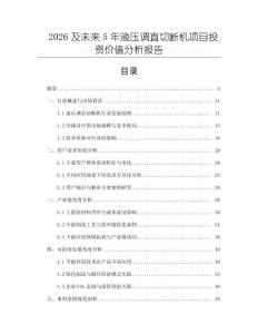 2026及未來5年液壓調直切斷機項目投資價值分析報告