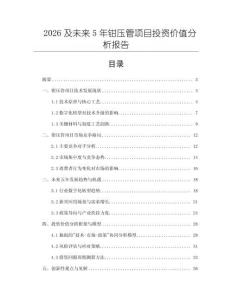 2026及未來5年鉗壓管項(xiàng)目投資價(jià)值分析報(bào)告