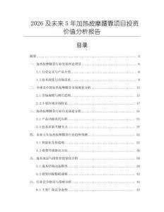 2026及未來5年加熱按摩腰靠項目投資價值分析報告