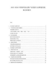 2025-2030中國商用洗衣粉產品創新與品牌建設戰略分析報告