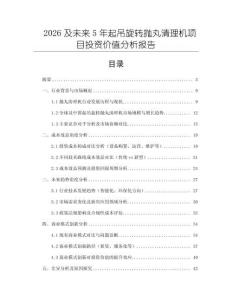 2026及未來5年起吊旋轉拋丸清理機項目投資價值分析報告