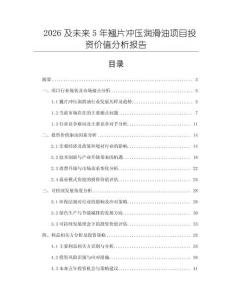 2026及未來5年翹片沖壓潤滑油項目投資價值分析報告