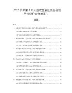 2025及未來5年大型雙缸液壓頂管機項目投資價值分析報告
