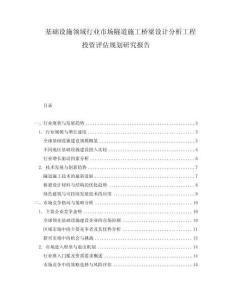 基礎(chǔ)設(shè)施領(lǐng)域行業(yè)市場隧道施工橋梁設(shè)計分析工程投資評估規(guī)劃研究報告