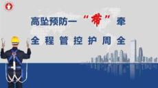 中建高墜預防安全帶全過程管控98頁2024年