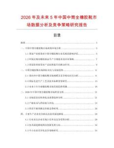 2026年及未來5年中國中筒全橡膠靴市場數據分析及競爭策略研究報告