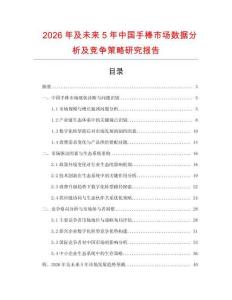 2026年及未來5年中國手棒市場數據分析及競爭策略研究報告